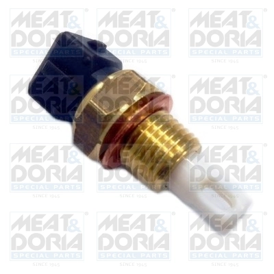 Sensor, intake air temperature